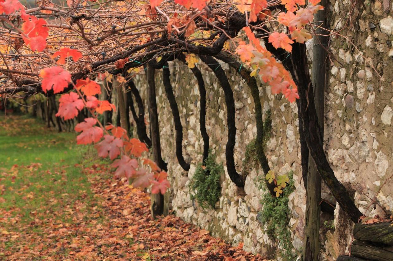 Biker'S Wine House Bed & Breakfast Rovereto  Bagian luar foto